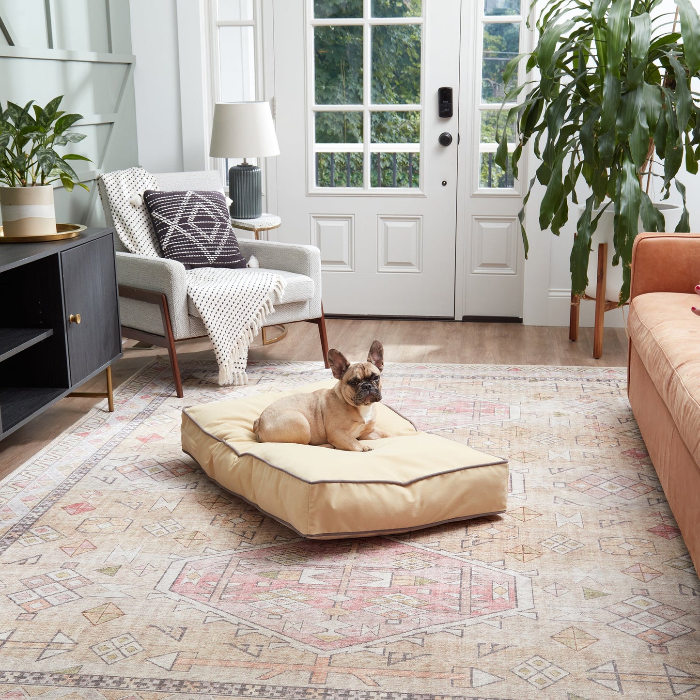 Buster Rectangle Microfiber Pillow Dog Bed