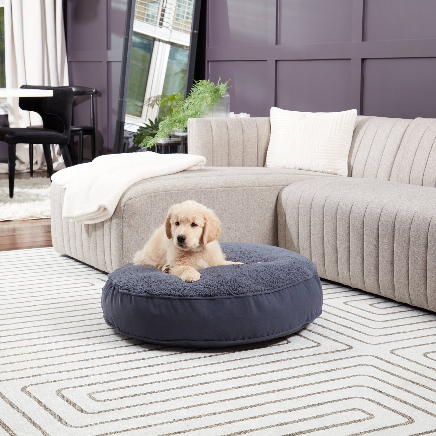 Scout Deluxe Round Sherpa Top Pillow Dog Bed