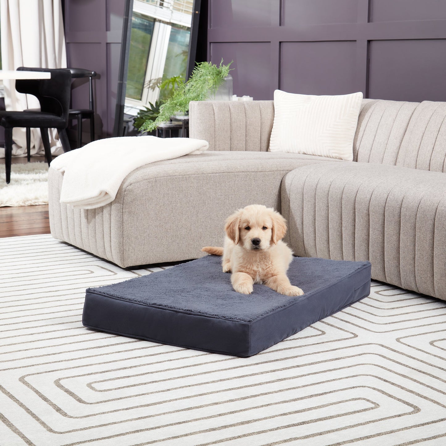 Oscar Orthopedic Dog Bed