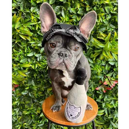 Dog Perignon Champagne Dog Toy
