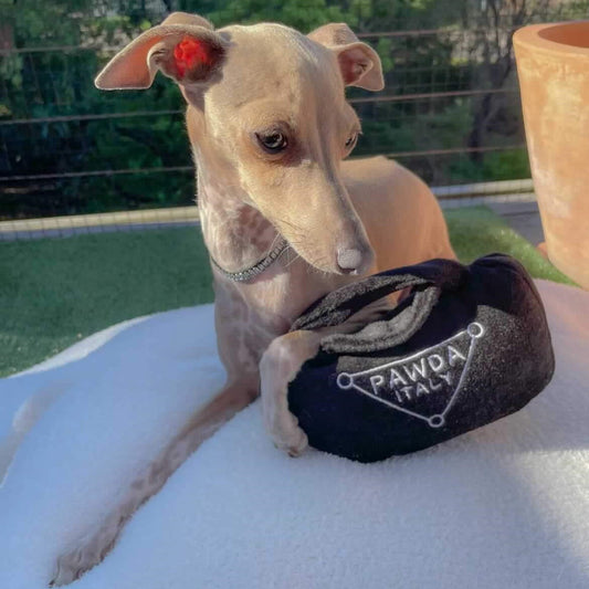 Pawda Handbag Dog Toy