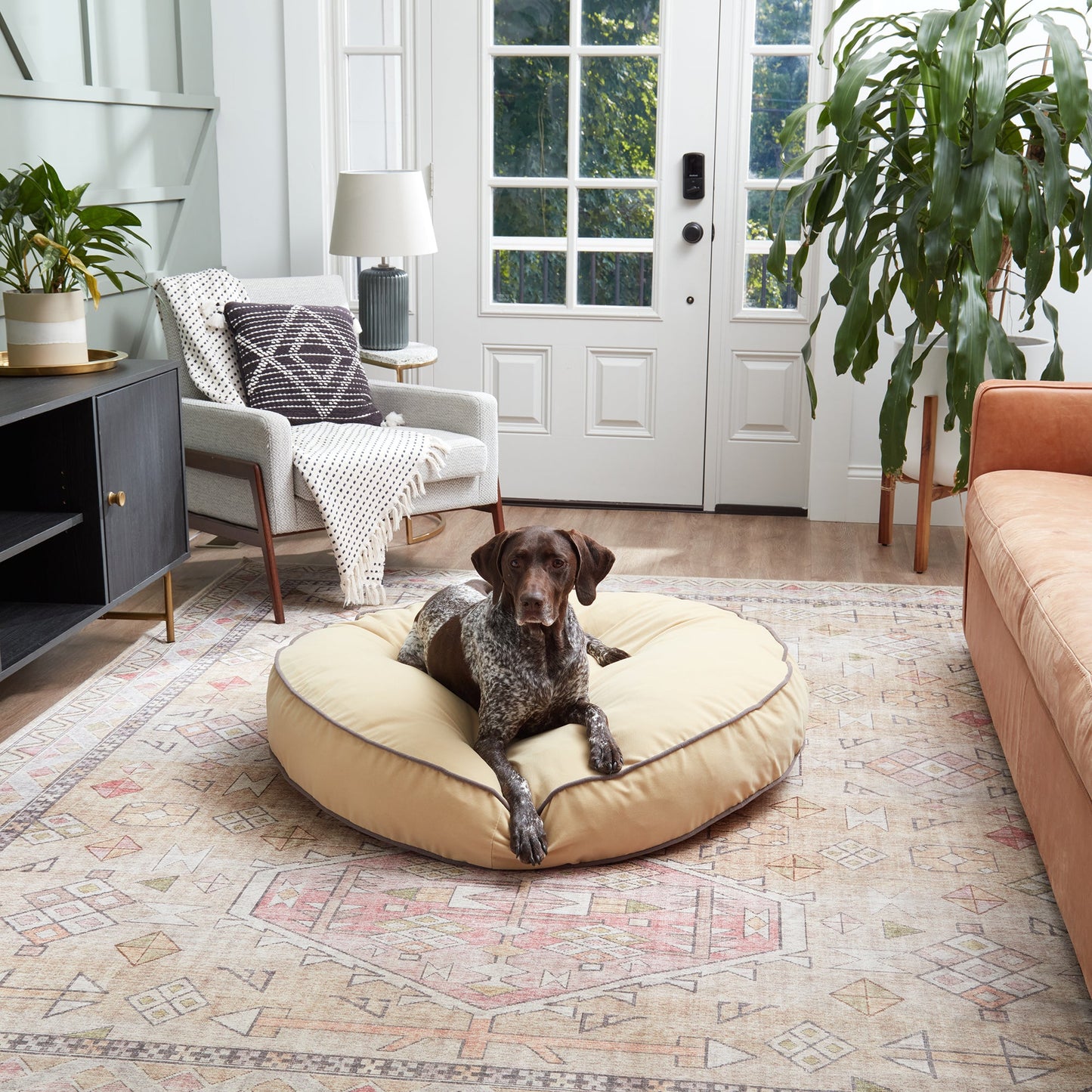 Scout Deluxe Round Microfiber Pillow Dog Bed