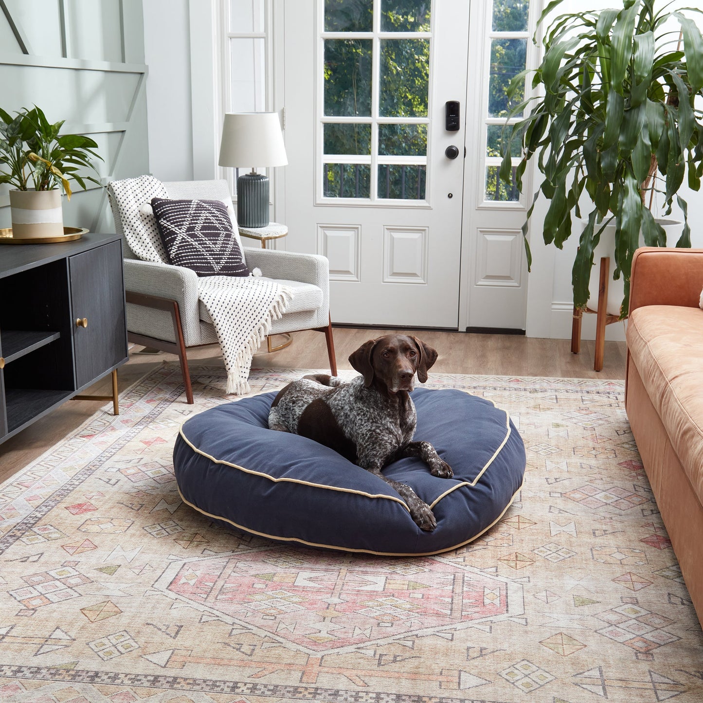 Scout Deluxe Round Microfiber Pillow Dog Bed
