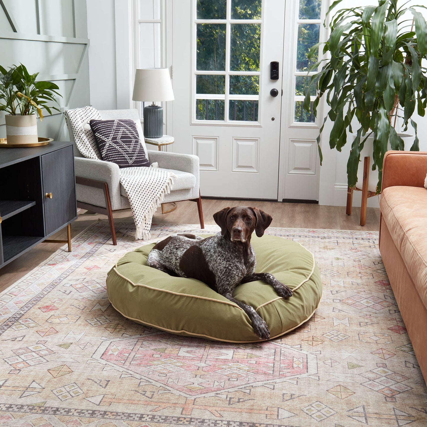 Scout Deluxe Round Microfiber Pillow Dog Bed