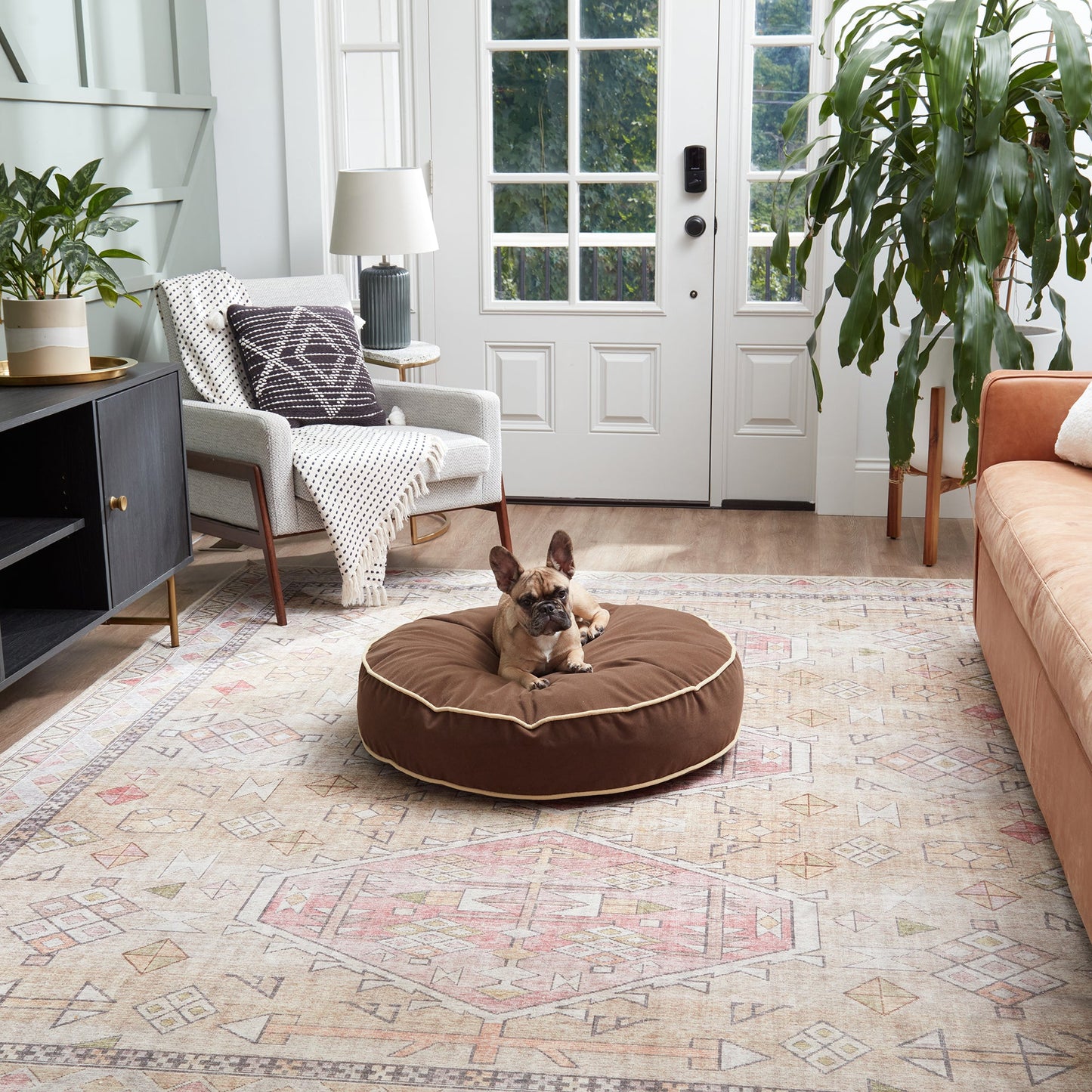 Scout Deluxe Round Microfiber Pillow Dog Bed