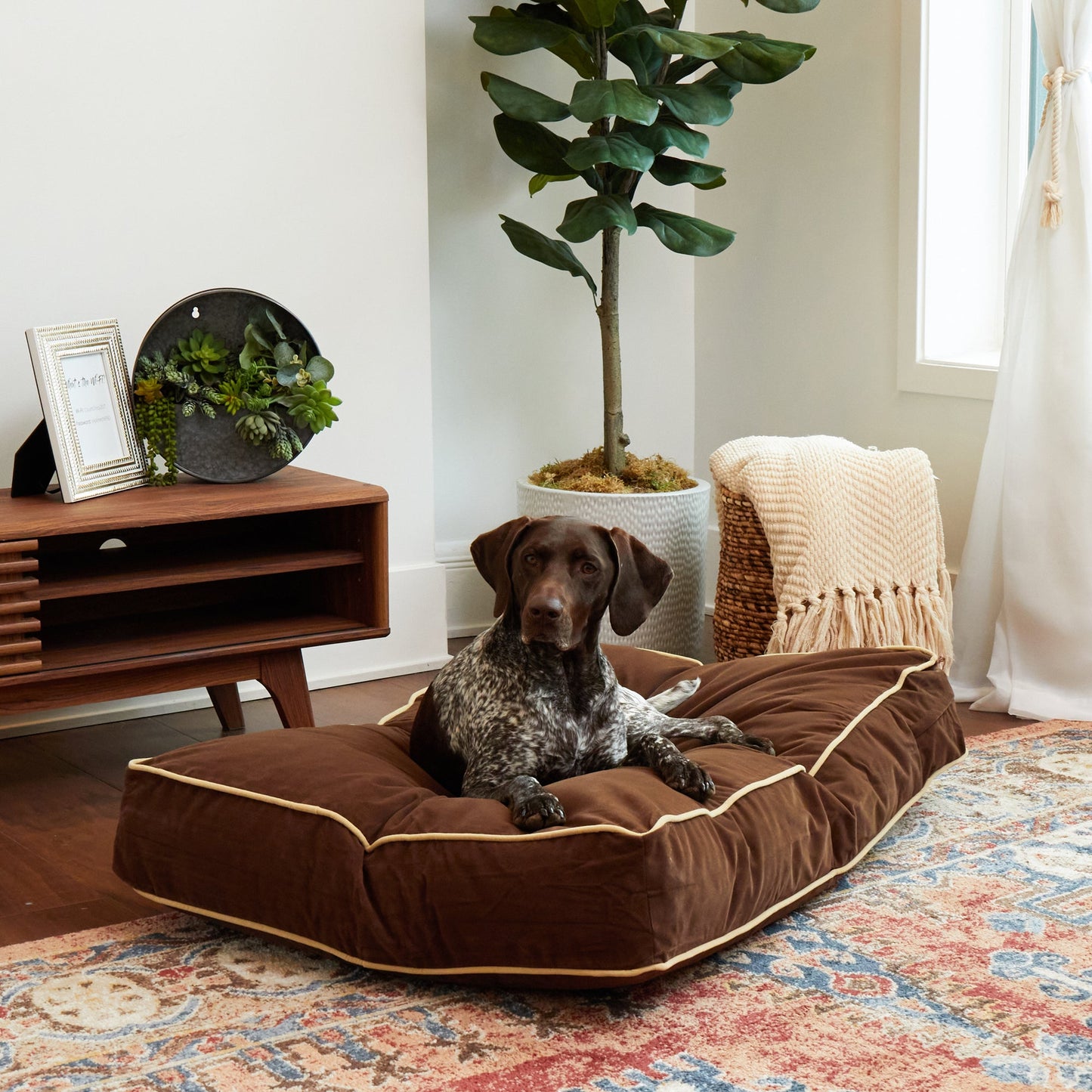 Buster Rectangle Microfiber Pillow Dog Bed