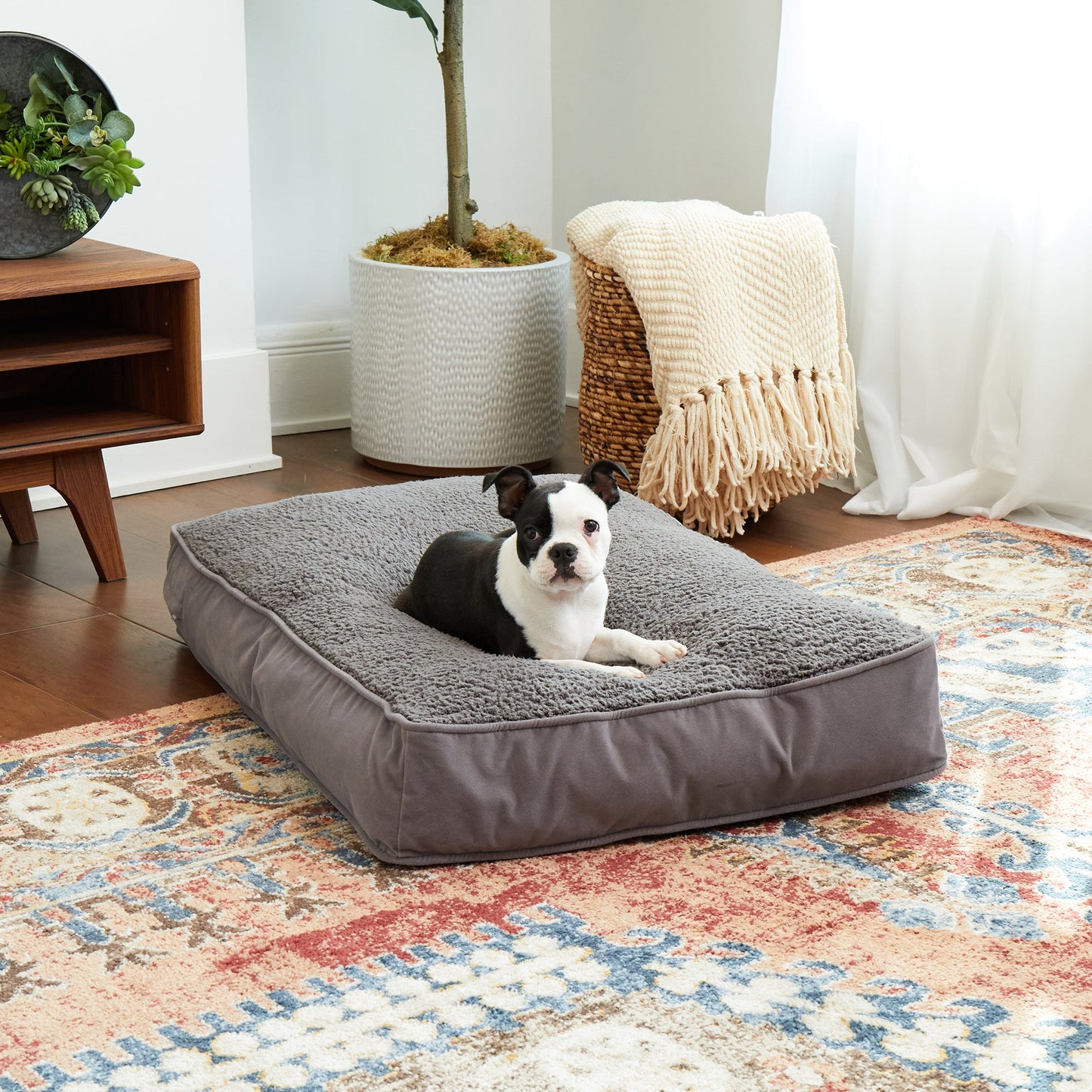 Buster Rectangle Sherpa Top Pillow Dog Bed