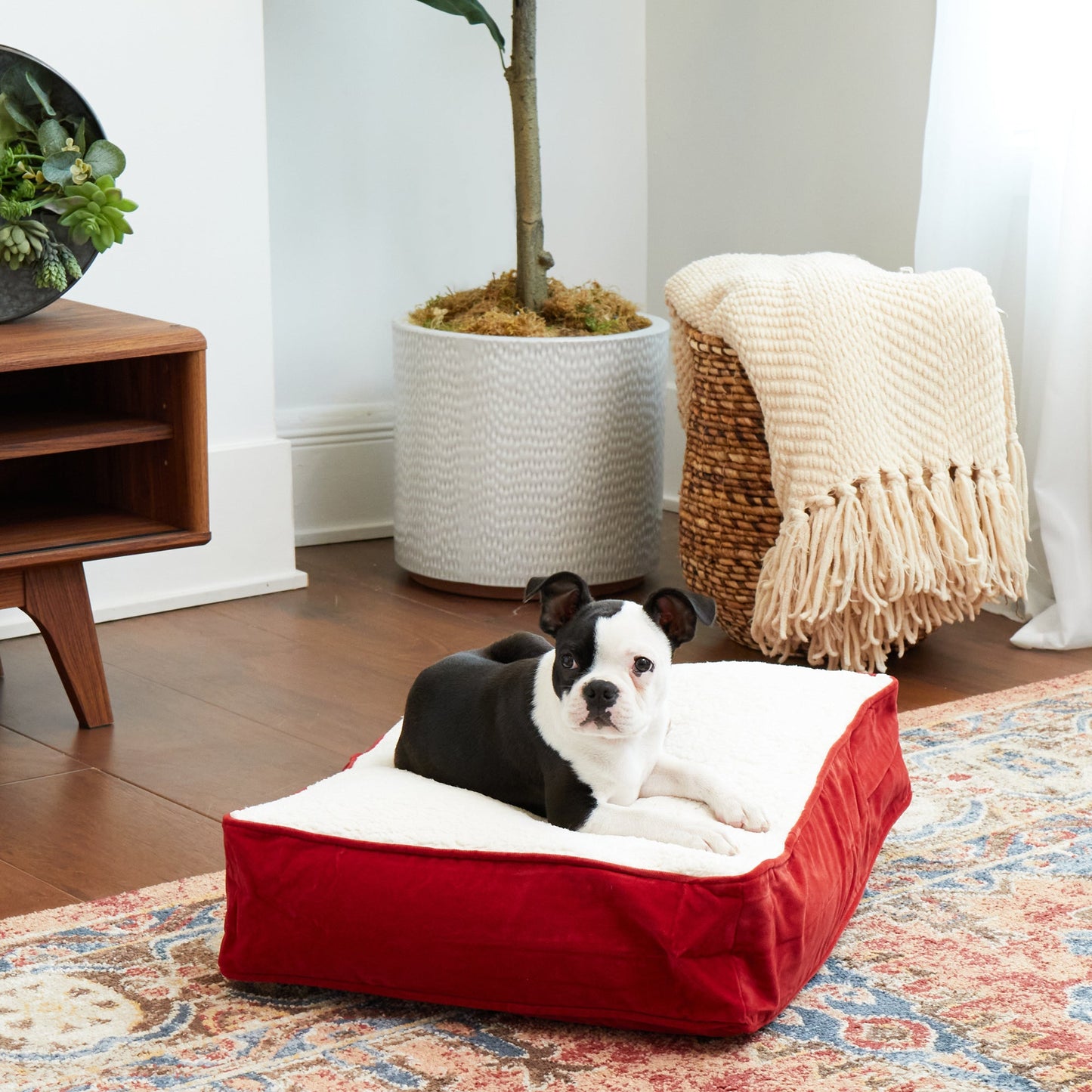 Buster Rectangle Sherpa Top Pillow Dog Bed