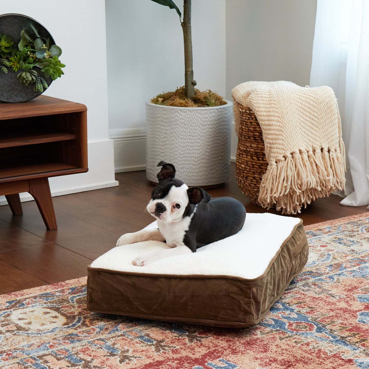 Buster Rectangle Sherpa Top Pillow Dog Bed
