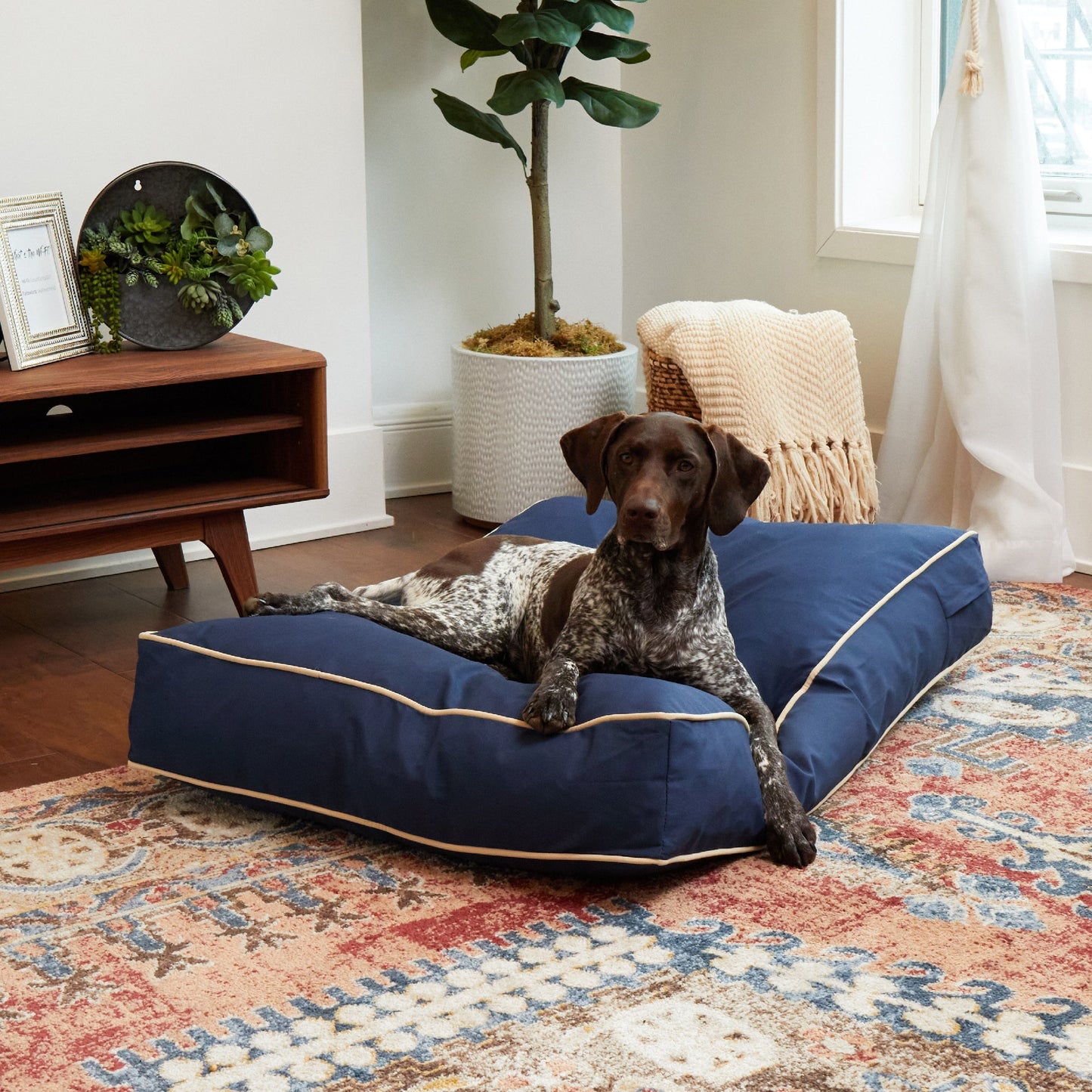 Casey Rectangle Outdoor/Indoor Pillow Bed