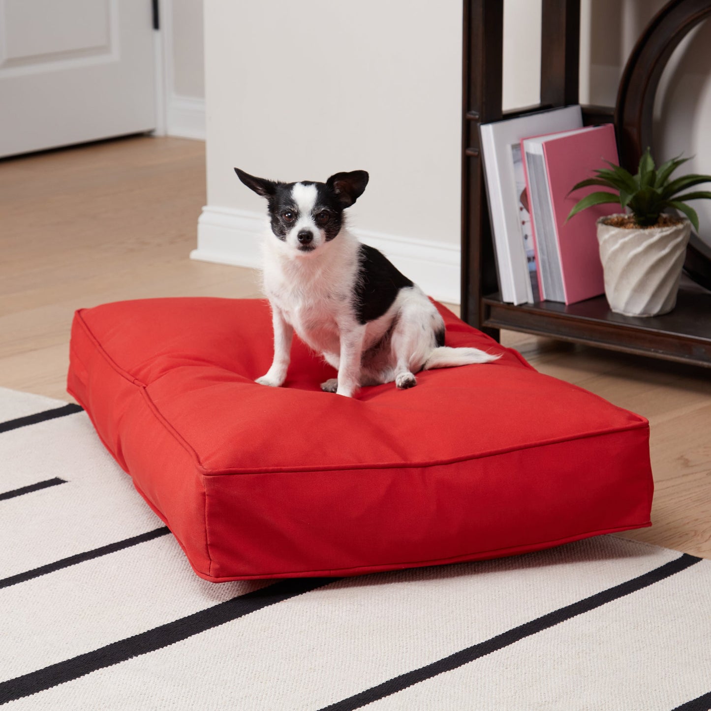 Casey Rectangle Outdoor/Indoor Pillow Bed