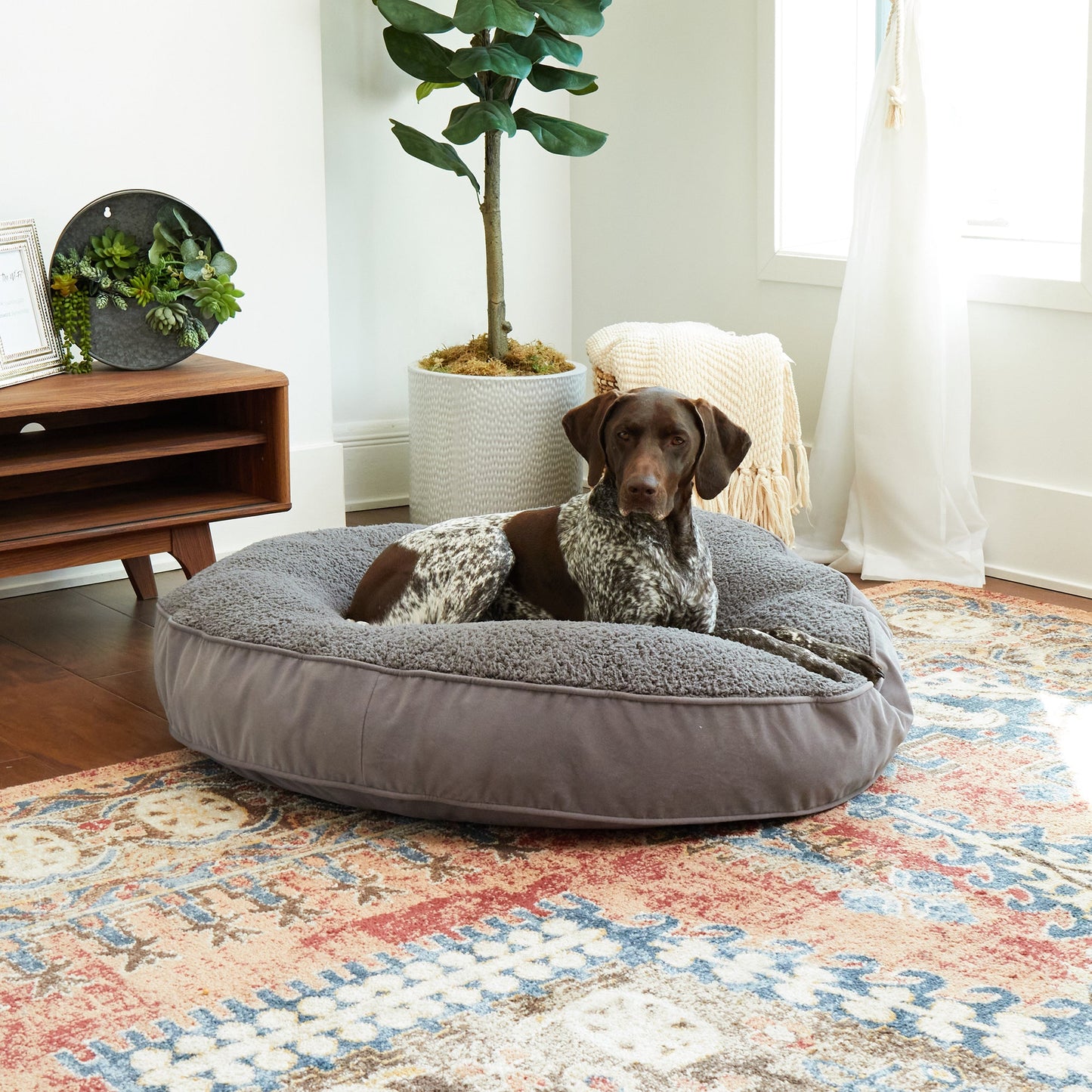 Scout Deluxe Round Sherpa Top Pillow Dog Bed
