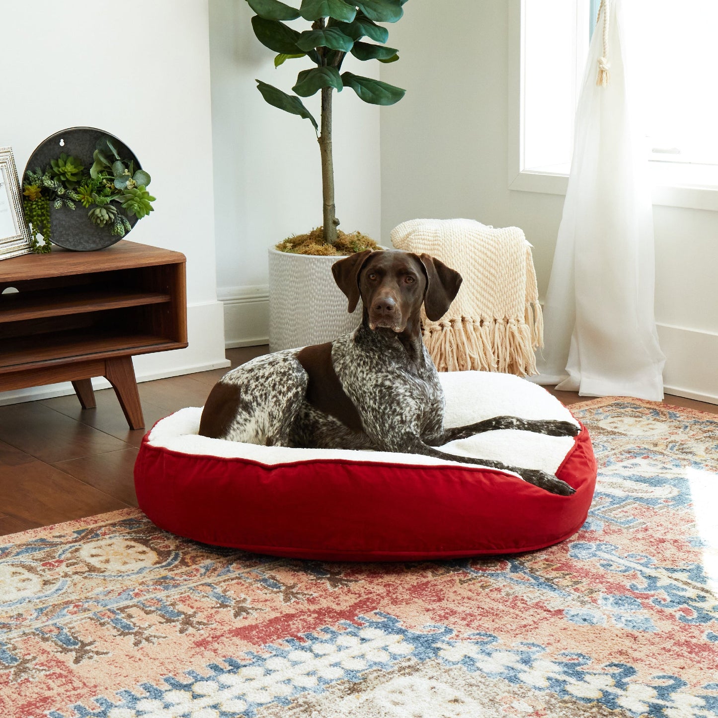 Scout Deluxe Round Sherpa Top Pillow Dog Bed