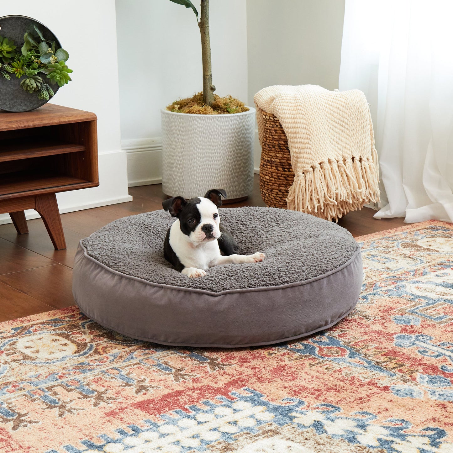 Scout Deluxe Round Sherpa Top Pillow Dog Bed