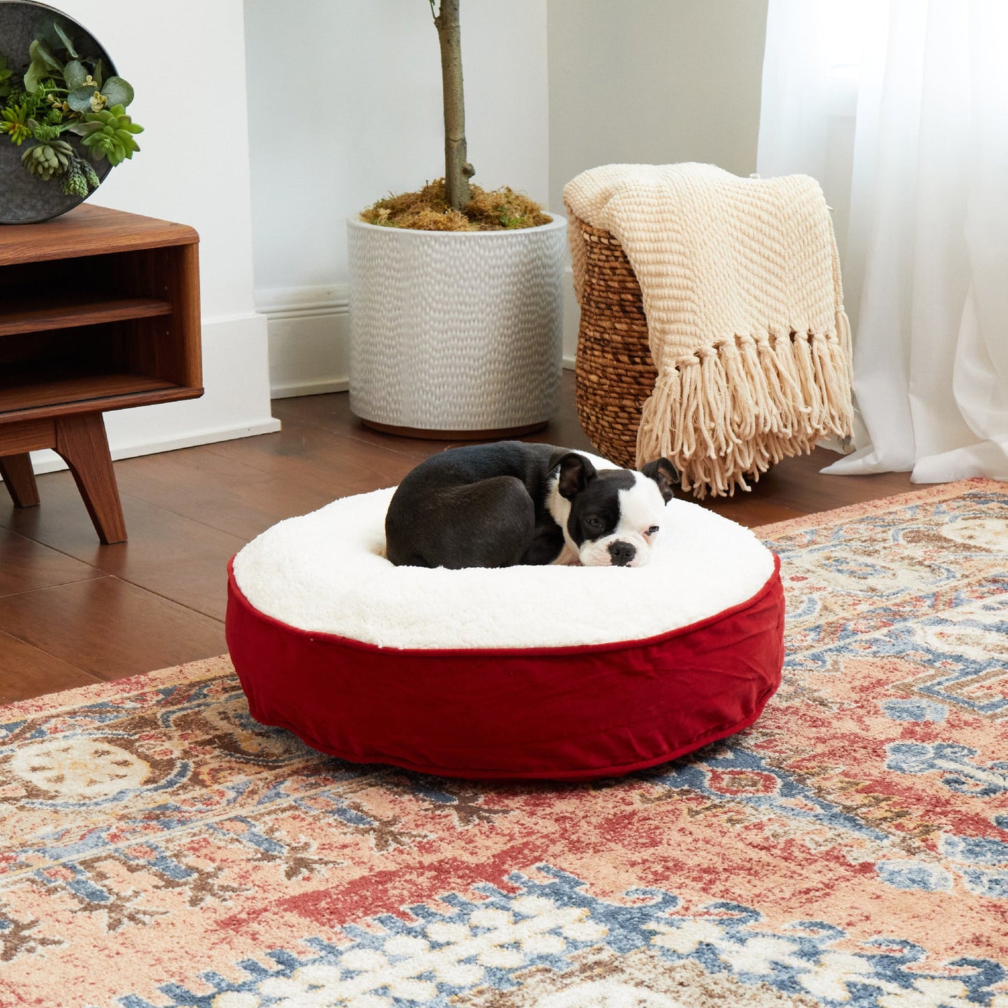 Scout Deluxe Round Sherpa Top Pillow Dog Bed