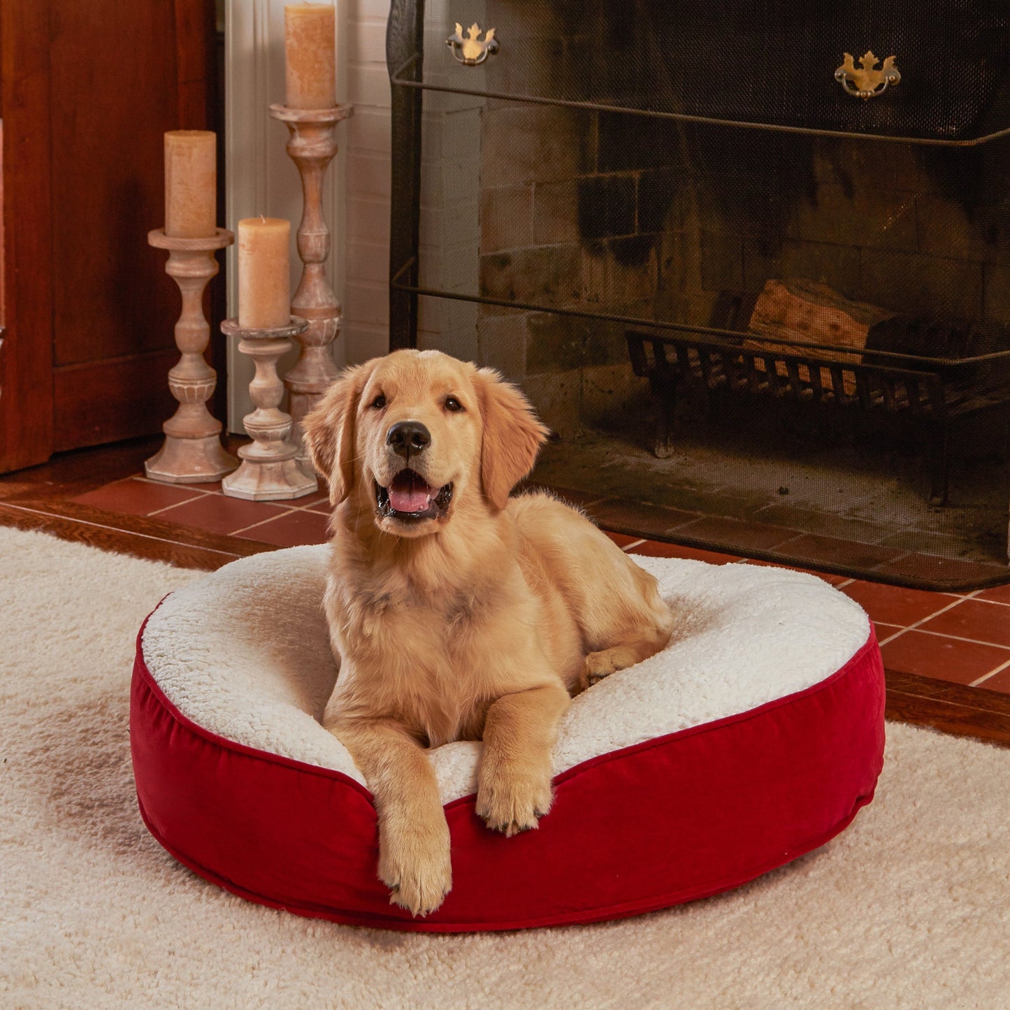 Scout Deluxe Round Sherpa Top Pillow Dog Bed