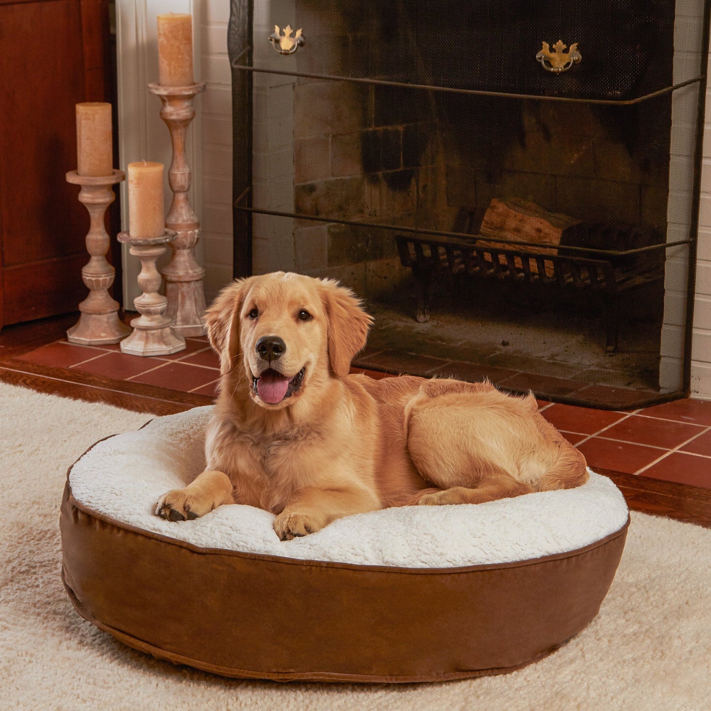 Scout Deluxe Round Sherpa Top Pillow Dog Bed