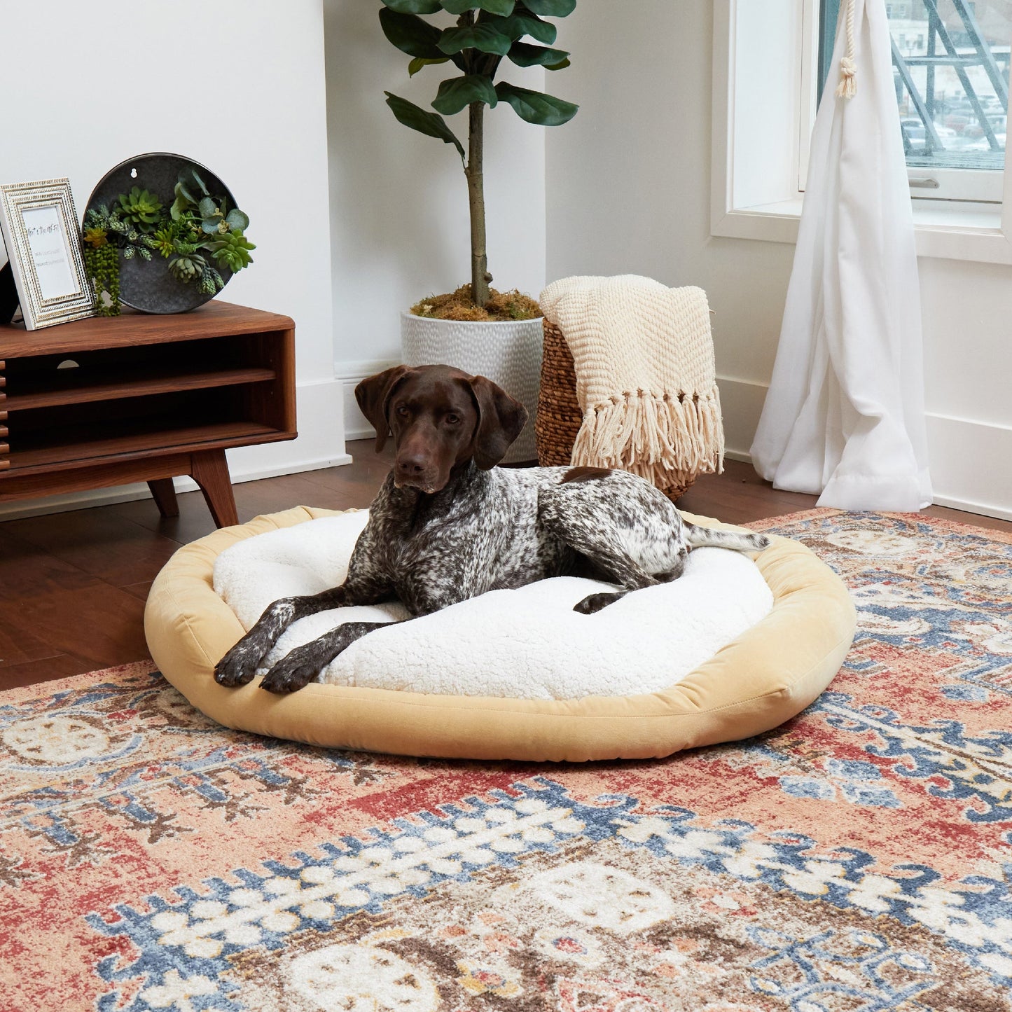 Murphy Donut Dog Bed