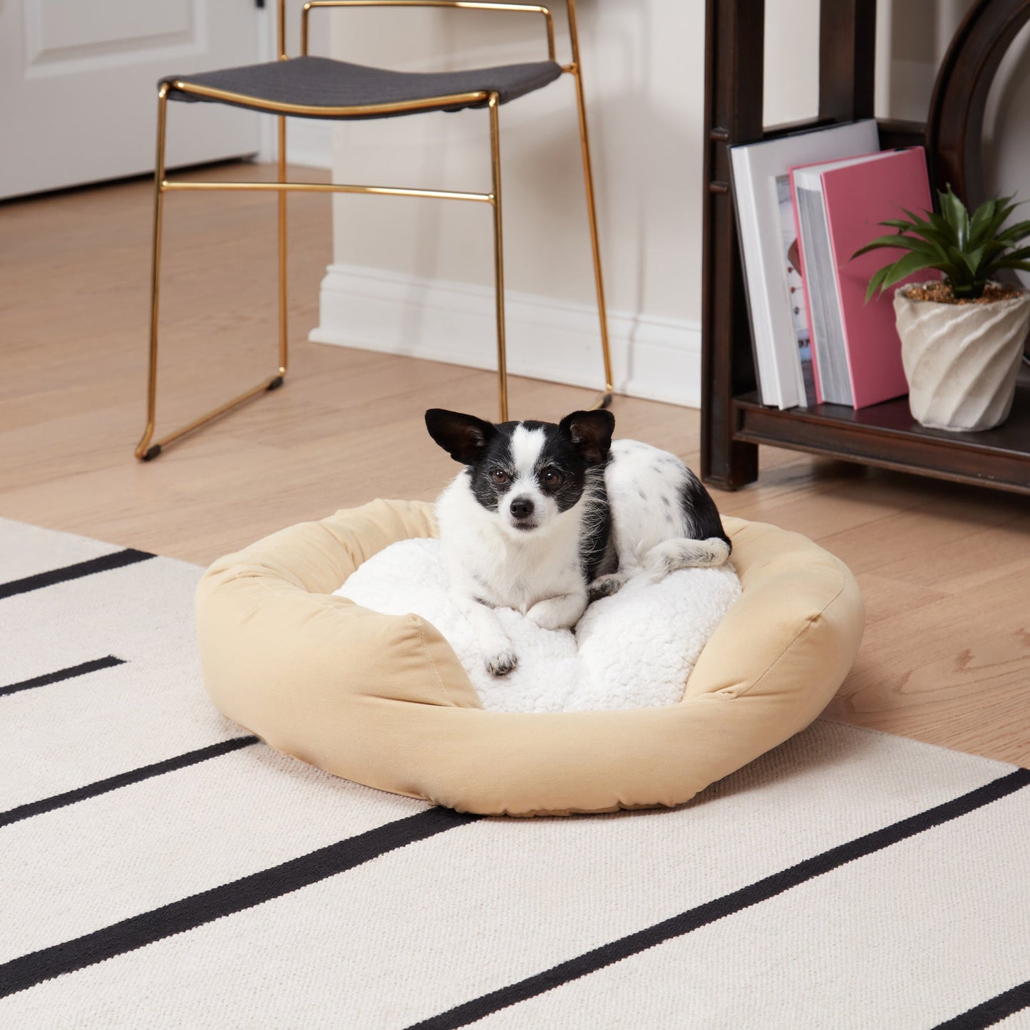 Murphy Donut Dog Bed