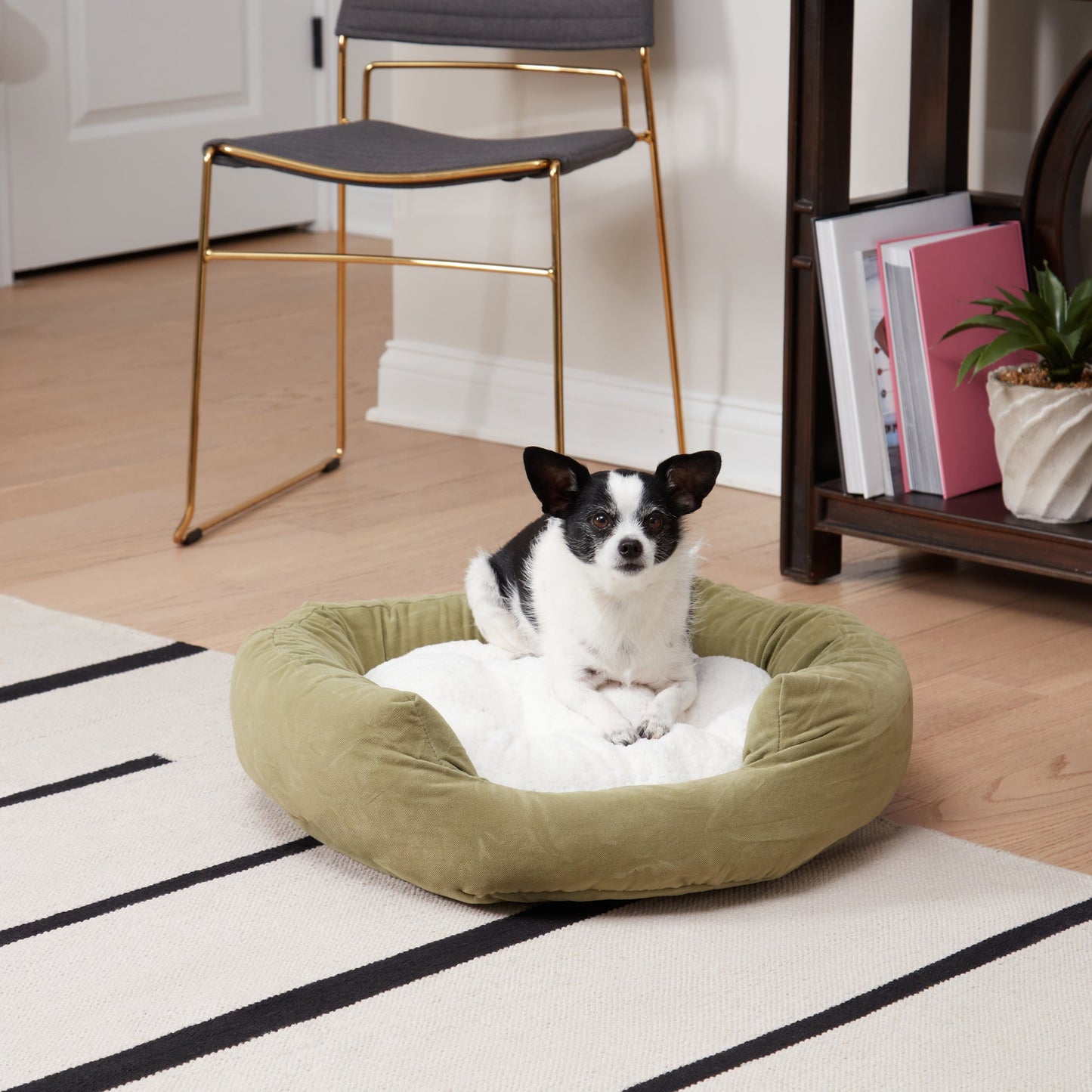 Murphy Donut Dog Bed