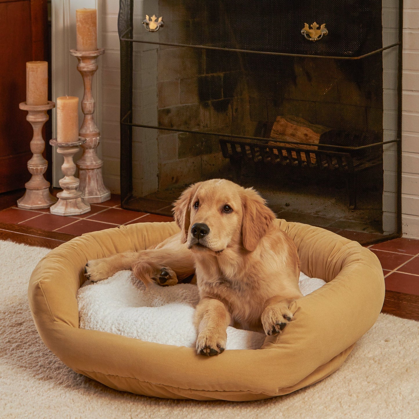 Murphy Donut Dog Bed