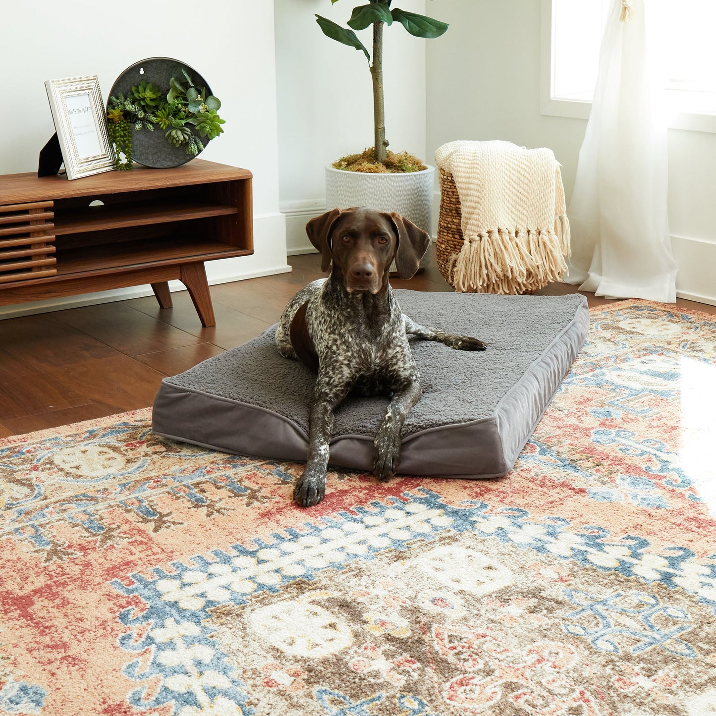 Oscar Orthopedic Dog Bed