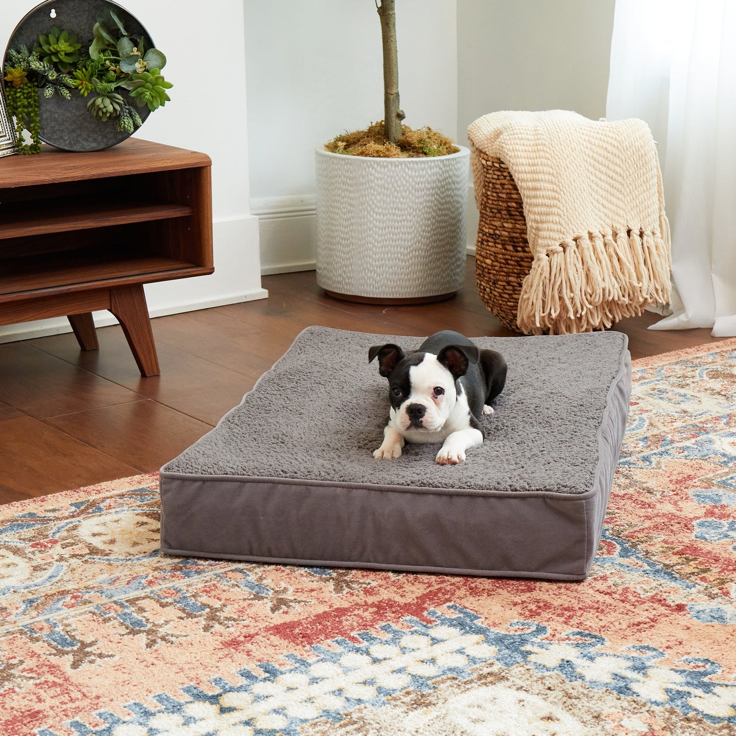 Oscar Orthopedic Dog Bed