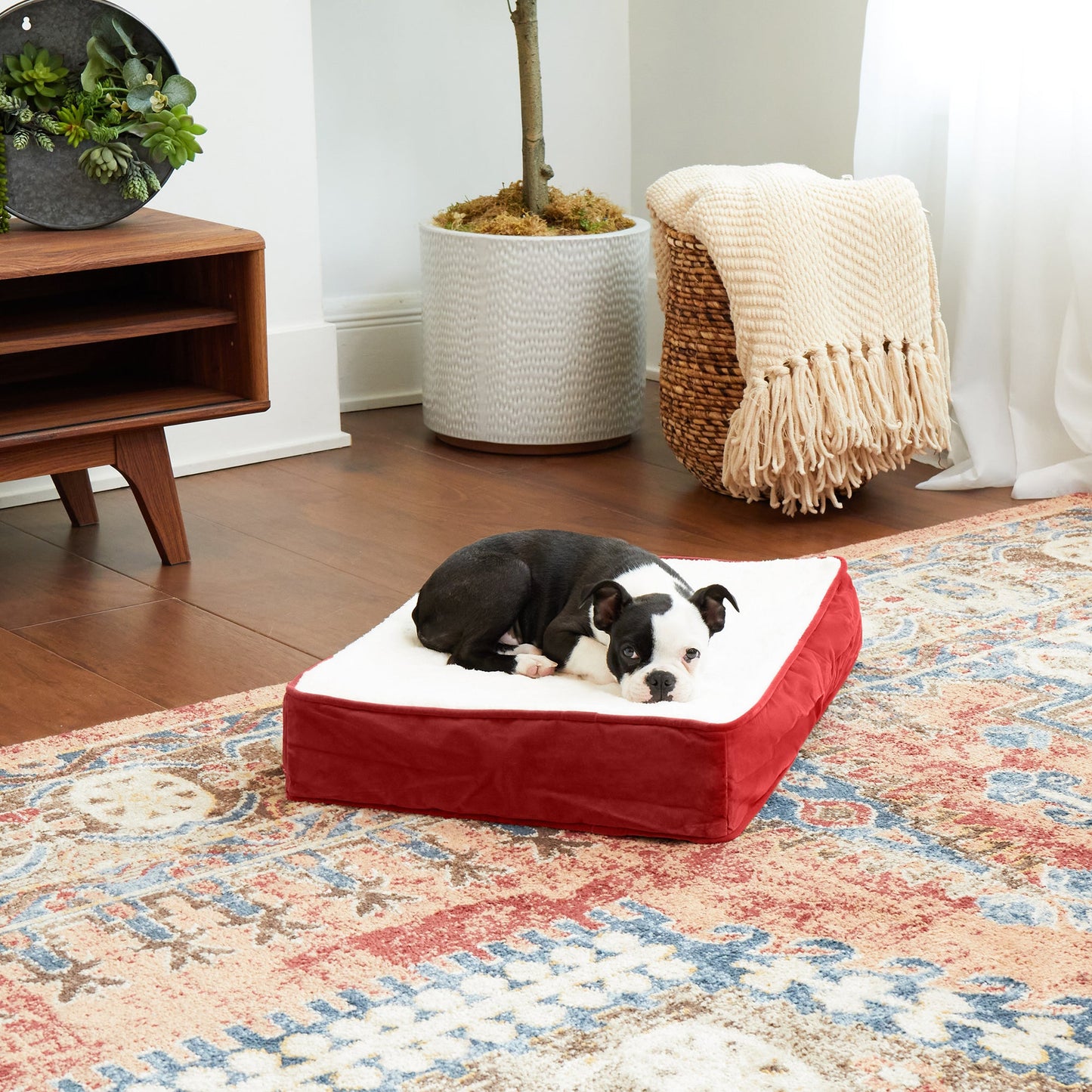 Oscar Orthopedic Dog Bed