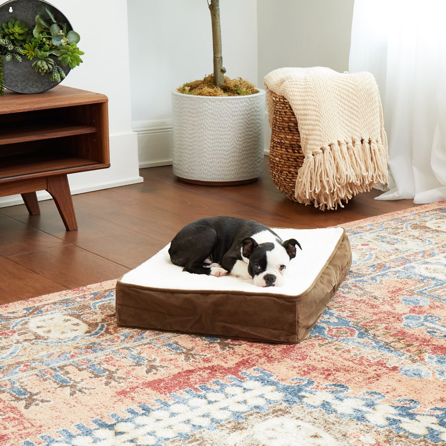Oscar Orthopedic Dog Bed