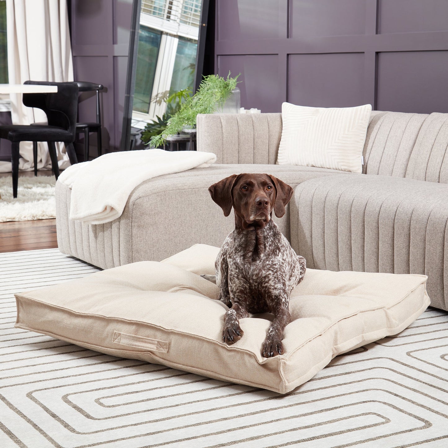 Milo Square Tufted Dog Bed
