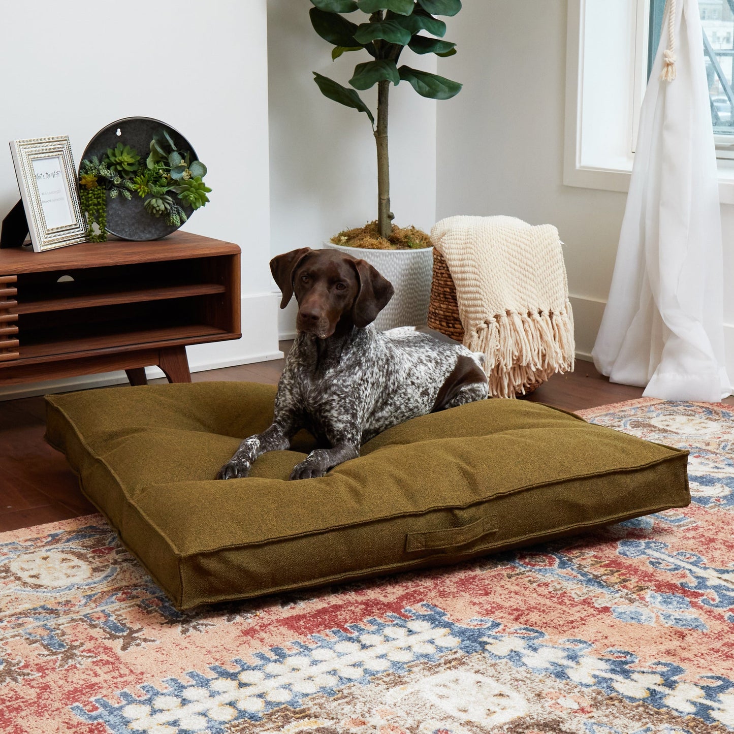 Milo Square Tufted Dog Bed