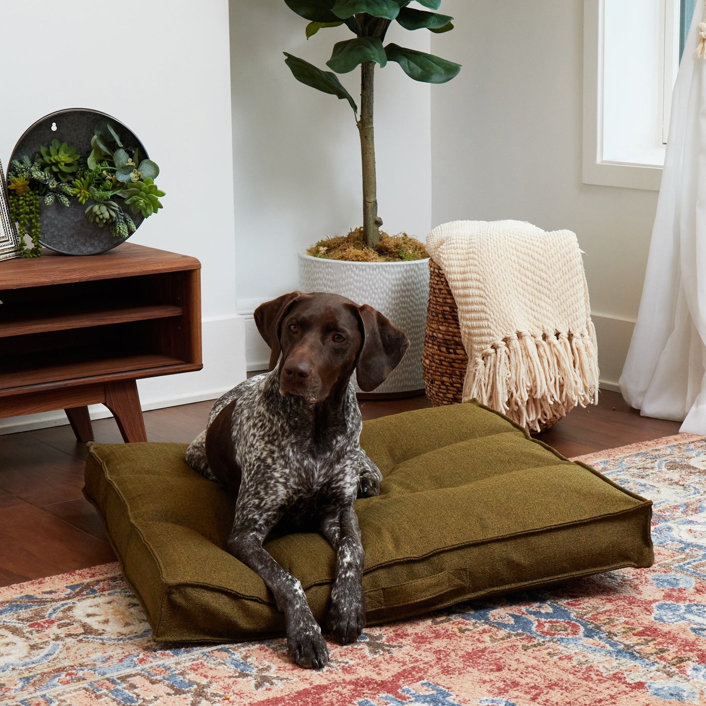 Milo Square Tufted Dog Bed