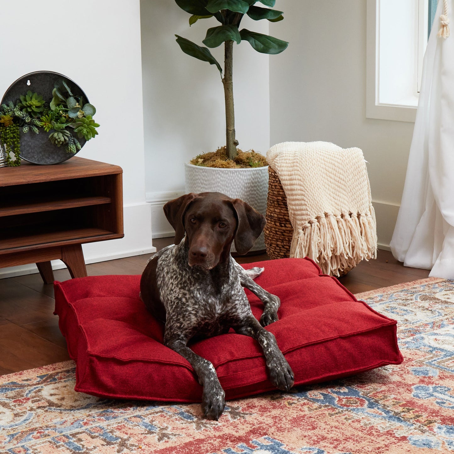 Milo Square Tufted Dog Bed