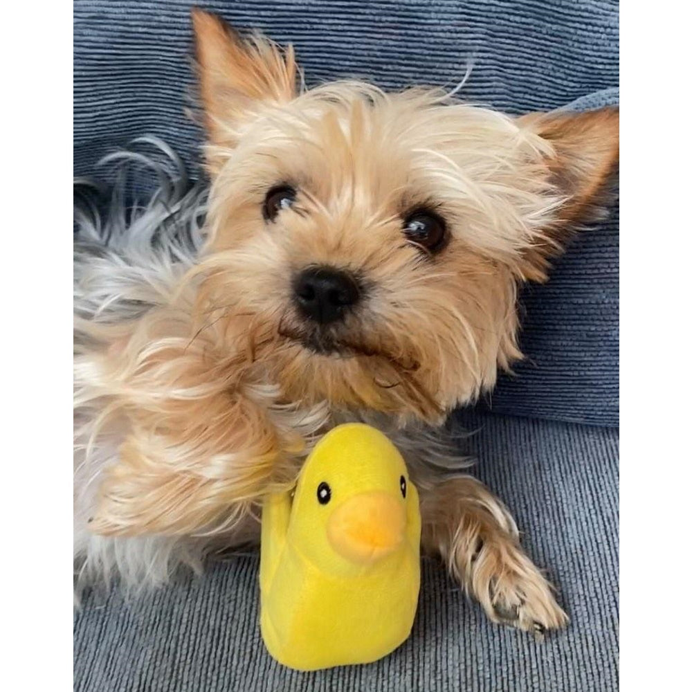 Ducky Plush Squeaker Dog Toy