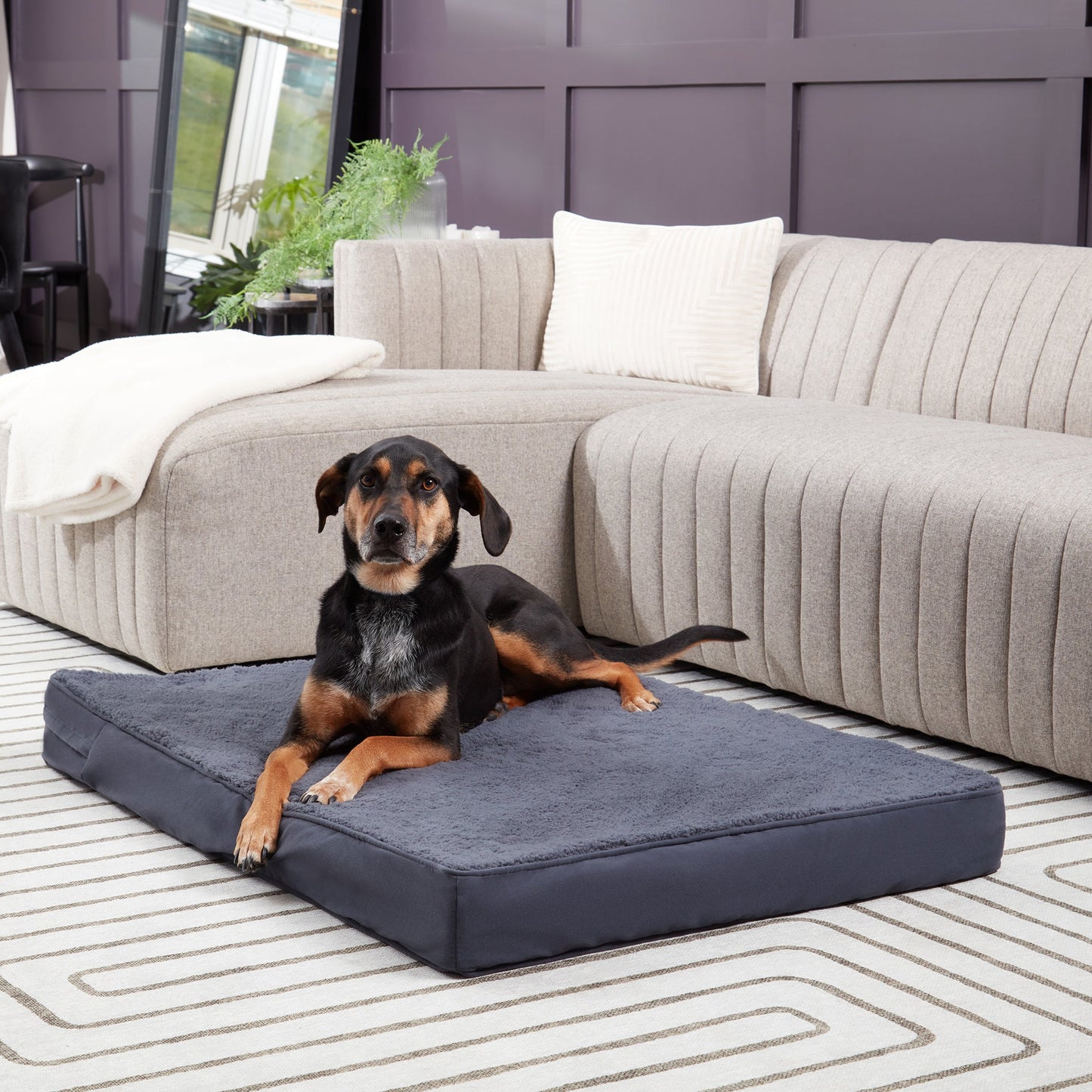 Oscar Orthopedic Dog Bed