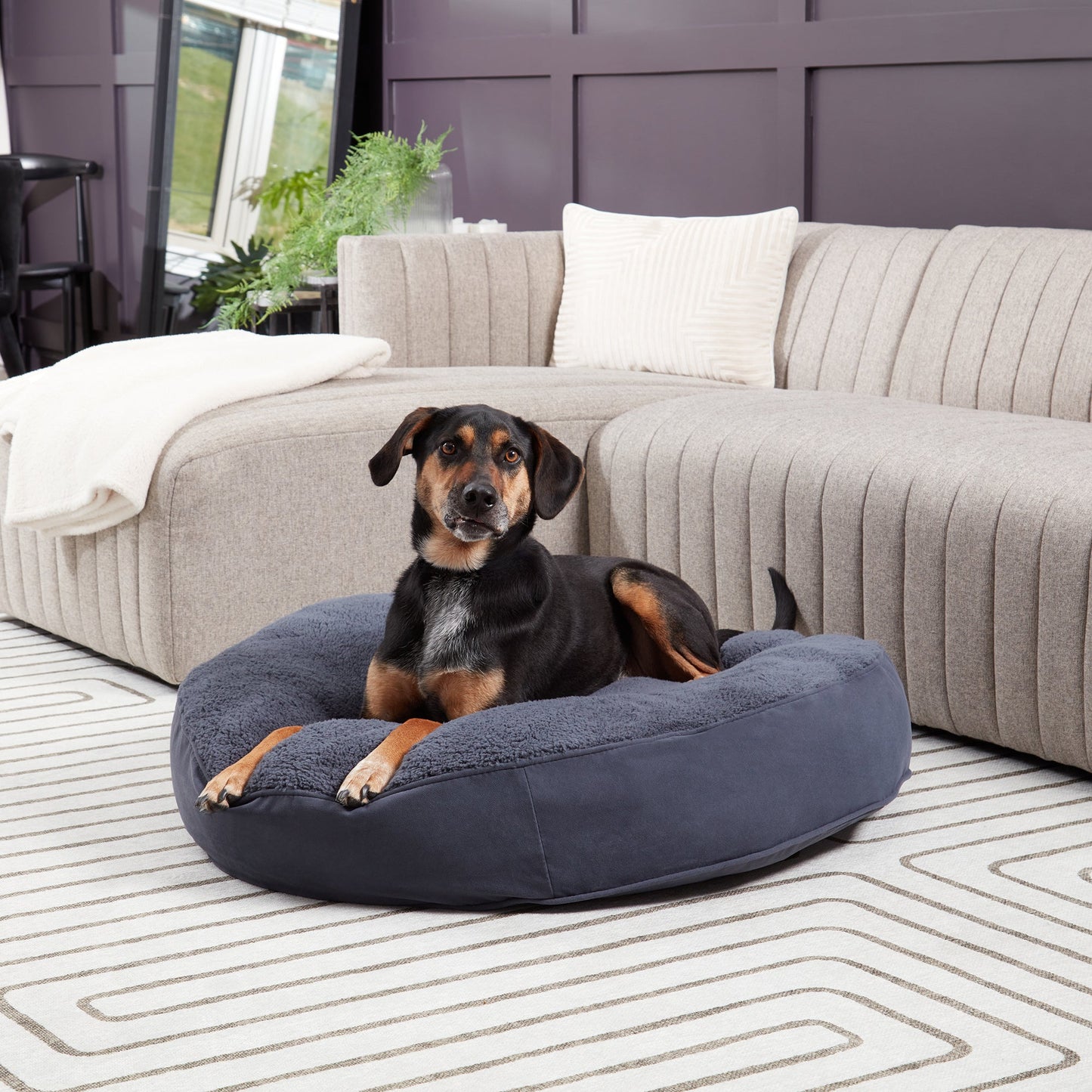 Scout Deluxe Round Sherpa Top Pillow Dog Bed