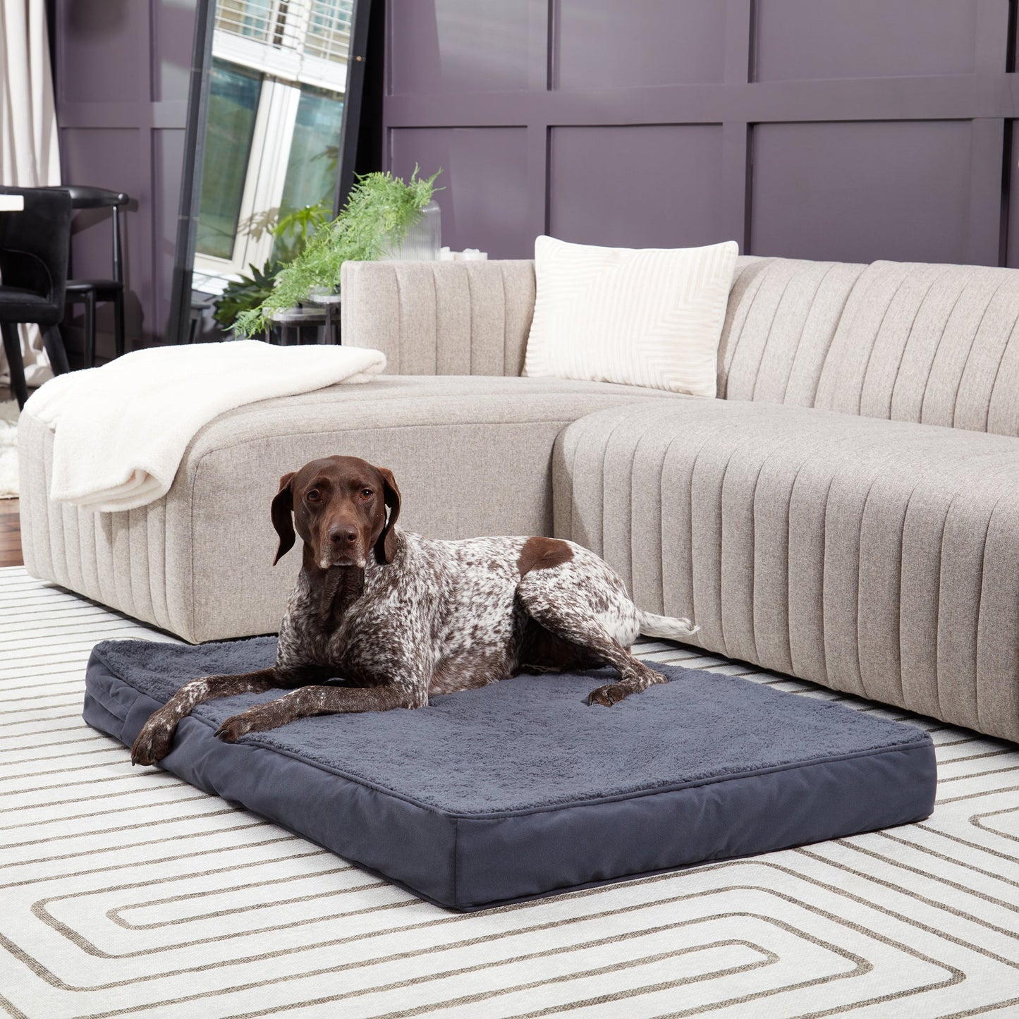 Oscar Orthopedic Dog Bed