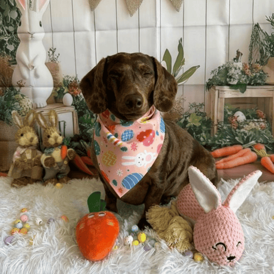 Carrot Squeaker Dog Toy