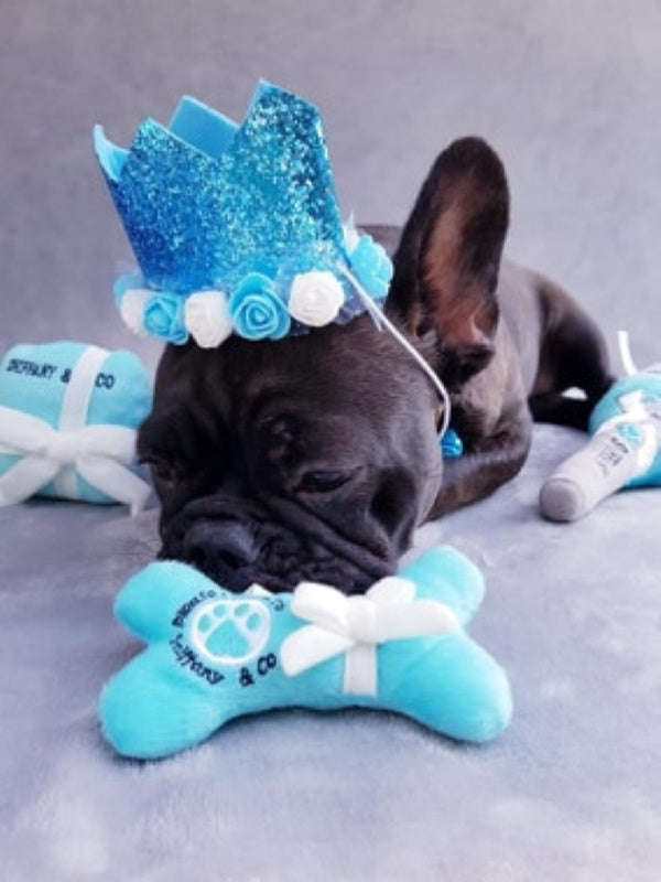 Sniffany & Co. Bone Dog Toy