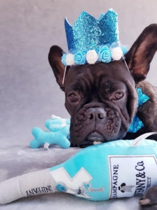 Sniffany & Co GoLightly Champagne