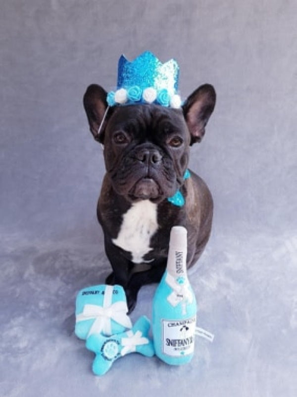 Sniffany & Co Box Dog Toy