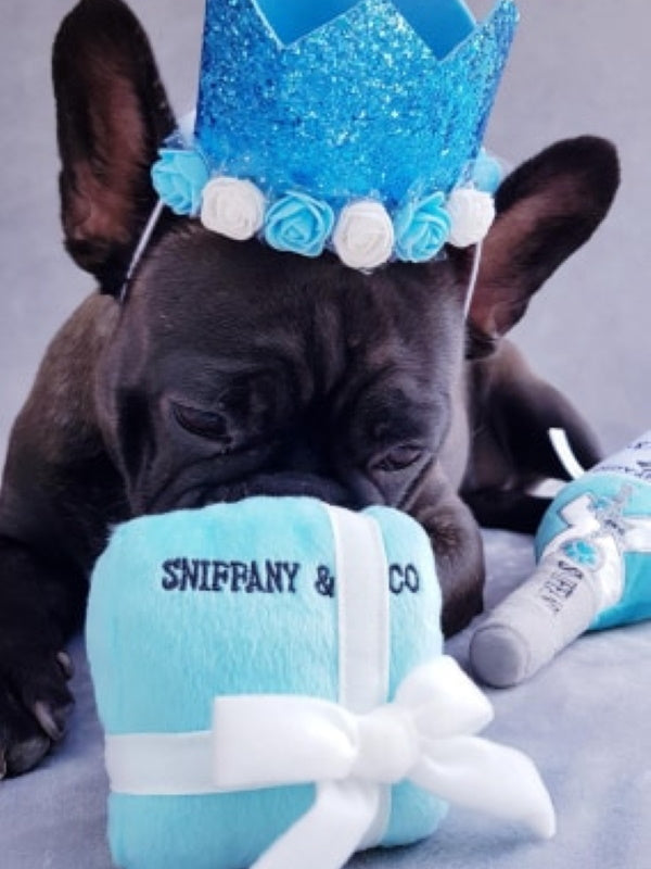 Sniffany & Co Box Dog Toy