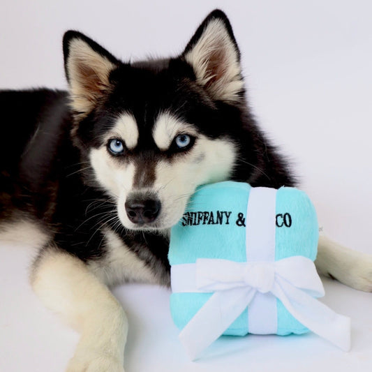 Sniffany & Co Box Dog Toy