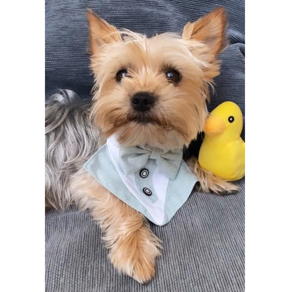 Ducky Plush Squeaker Dog Toy