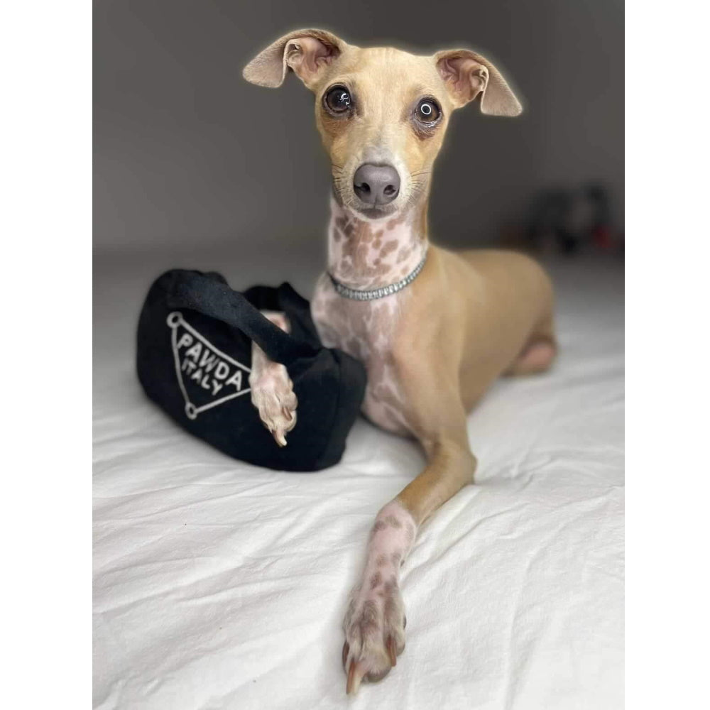 Pawda Handbag Dog Toy